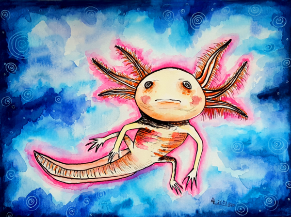 Axel das Axolotl